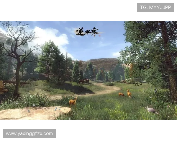 亚星游戏官网入口安全保障措施，确保每位玩家的账号信息和游戏资产安全无忧