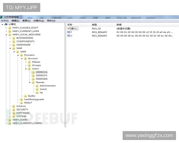 亚星登录官网333账号登录流程详解，轻松应对登录遇到的问题